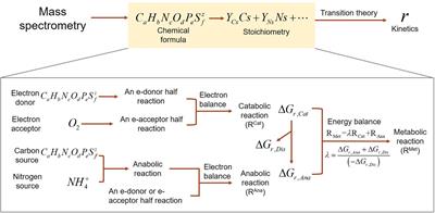 Representing Organic Matter Thermodynamics in Biogeochemical Reactions via Substrate-Explicit Modeling